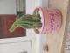 Cactus ????  - Meubles et décoration en Tunisie