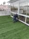 Gazon synthétique  - Meubles et décoration en Tunisie