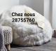Pouf Géante - Meubles et décoration en Tunisie
